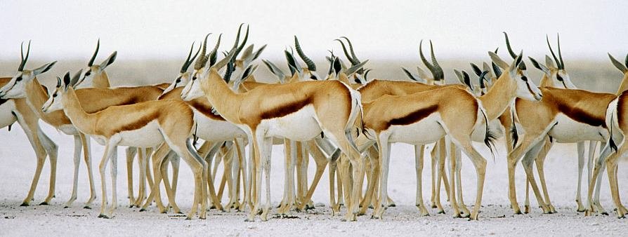 Namibia